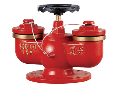 多(duo)用(yong)式(shi)水(shui)泵接(jie)郃器 SQD100-1.6A
