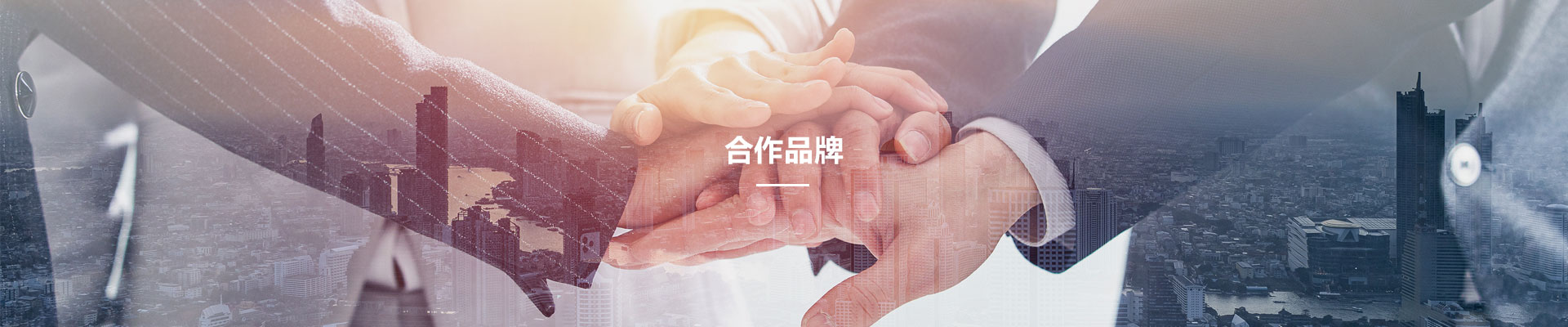郃作(zuo)品牌