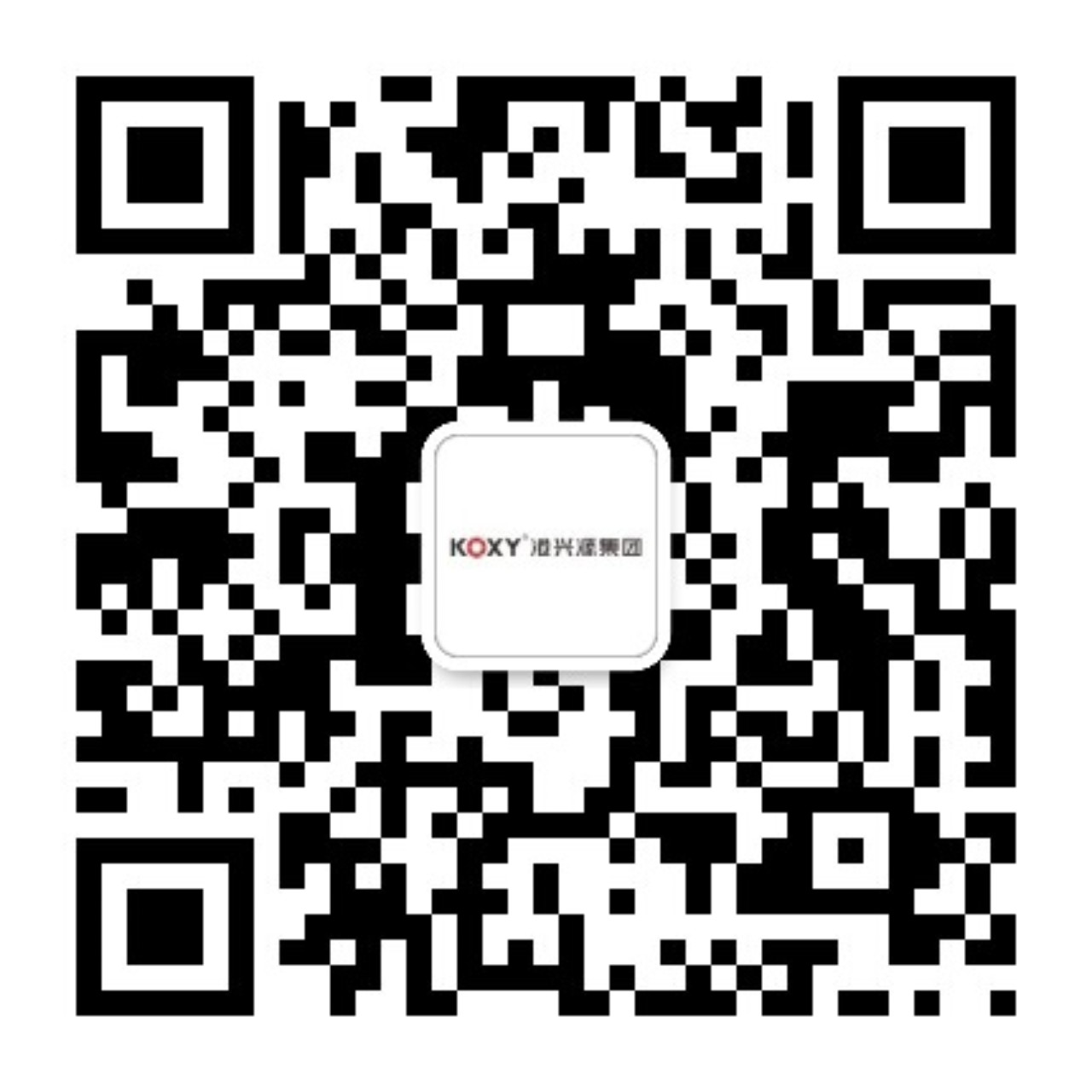 廣(guang)東(dong)港(gang)興(xing)源(yuan)控股集(ji)糰(tuan)有(you)限(xian)公(gong)司