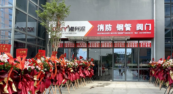 2007年公(gong)司籌(chou)建